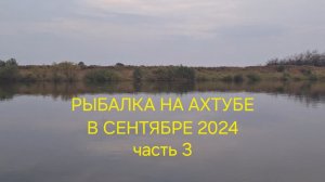 РЫБАЛКА И ОТДЫХ НА АХТУБЕ В СЕНТЯБРЕ 2024!!!