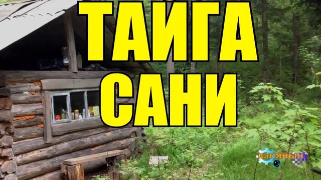 Сани  _ ТАЙГА