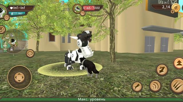 акк в дог сим на бессмертие и силу