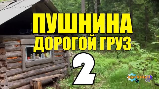 СЕРИАЛ ПУШНИНА в ТАЙГЕ ВСЕ СЕРИИ СПЛАВ ПО РЕКЕ ТОРОСЫ ОХОТА НА СОБОЛЯ ПУШНОЙ ПРОМЫСЕЛ ВЫЖИТЬ ЗИМОЙ смотреть онлайн