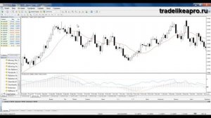 Секреты торгового терминала Metatrader 4