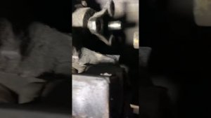 MERCEDES 124 230E/ЗАМЕНА ПЕРЕДНЕЙ МУФТЫ КАРДАНА