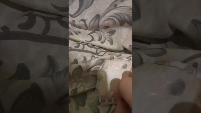 Capybara Bling Bag оцените от 1 до 10