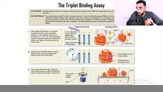 04 | The Triplet Binding Assay смотреть онлайн