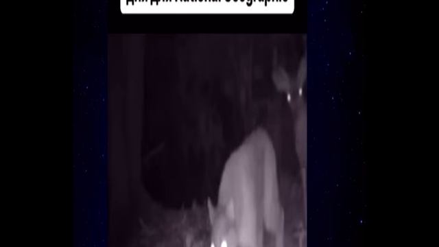 Зарабатывать как-то надо😂 смотреть онлайн
