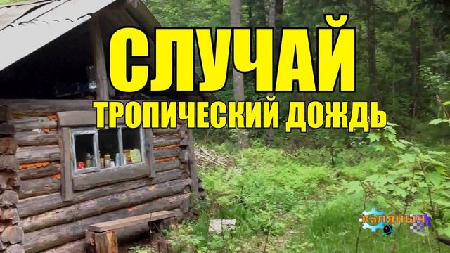 0830 - СЛУЧАЙ ИЗ ЖИЗНИ _ ТРОПИЧЕСКИЙ ДОЖДЬ НА КОРАБЛЕ _ МЫЛЬНАЯ ОПЕРА смотреть онлайн