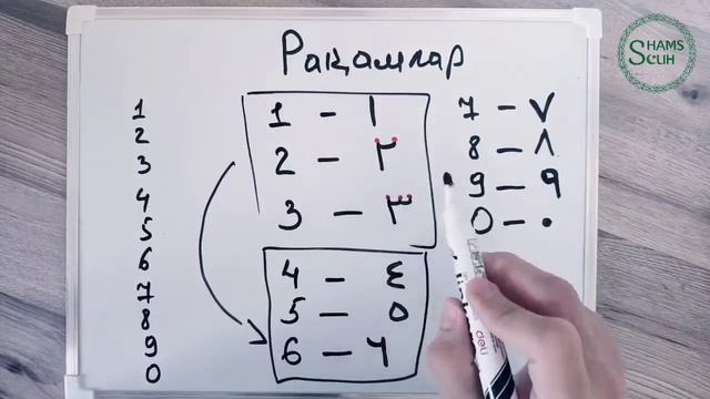 ARAB RAQAMLARI | Arab tili darslari смотреть онлайн