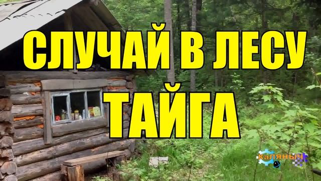 1011 - ИЗБА САМОУБИЙЦ _ ДОВЕЛИ ДЕДА _ ТАЙГА смотреть онлайн