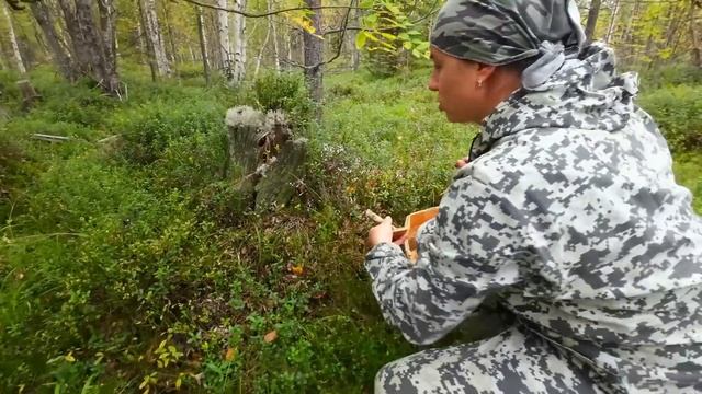 ДЕВУШКА УВИДЕЛА ИХ В ЛЕСУ И ЗАКРИЧАЛА. СБОР ГРИБОВ С КРАСАВИЦЕЙ. МНОГО ГРИБОВ. ОНА БАЛДЕЕТ О ТАКОГО смотреть онлайн