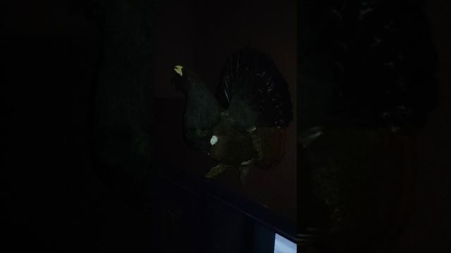 Здание Красного креста. Ныне банкетный зал. смотреть онлайн