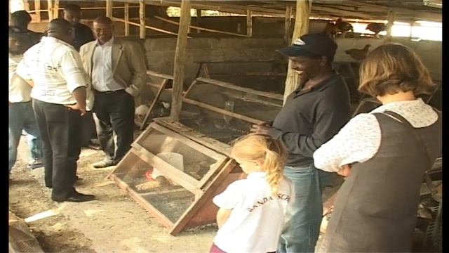 Movers & Shakers: Bird Rearing смотреть онлайн