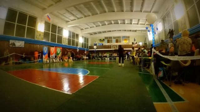 Копия видео "Выставка собак всех пород в г. Кунгур, 26.12.2015 часть 10" смотреть онлайн