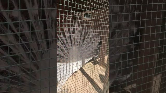 Поймал удачный момент смотреть онлайн