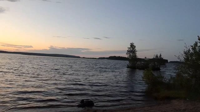 Читаю стихи. Автор Наталья Захарцева смотреть онлайн