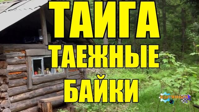 ТАЕЖНЫЕ БАЙКИ _ РАССКАЗЫ ОХОТНИКА _ ТАЙГА 2 из 2 смотреть онлайн