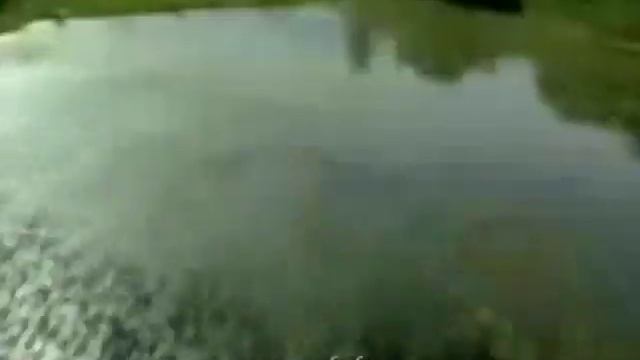 DDT_Potolok смотреть онлайн