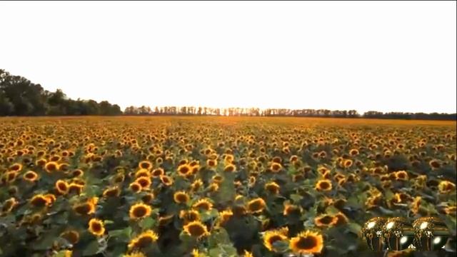 NAiTA, ГОРШЕНЕВ - Я всегда с тобой смотреть онлайн