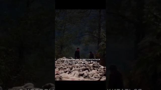 Ближе к концу света смотреть онлайн