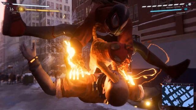 кот паук смотреть онлайн