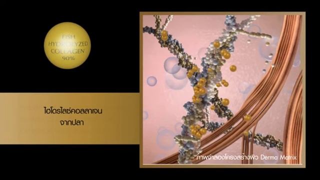 Aviance Collagen Matrix смотреть онлайн