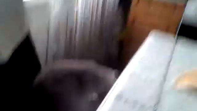 Спортивный коктейль смотреть онлайн