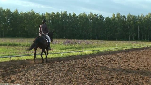 Нижегородский ипподром. Выездка. Мария Алексанова - Ганс смотреть онлайн