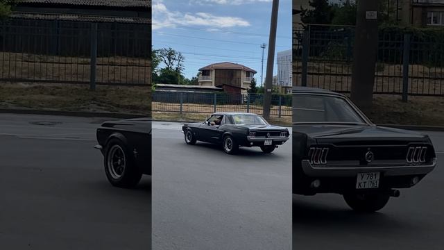 Shelby Mustang #car #mustang #shelby