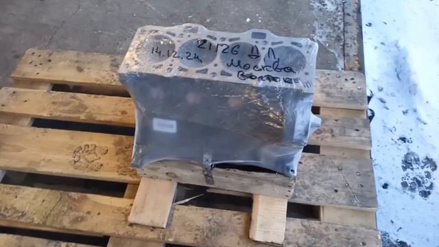 Двс ВАЗ 21126 (блок в сборе) ТК "Деловые Линии" от 14.12.2024 смотреть онлайн