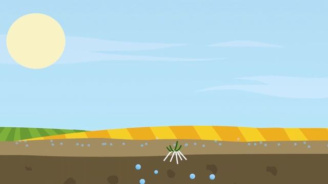 P-Extend in YaraMila: fertilizer with long-lasting phosphorus supply смотреть онлайн