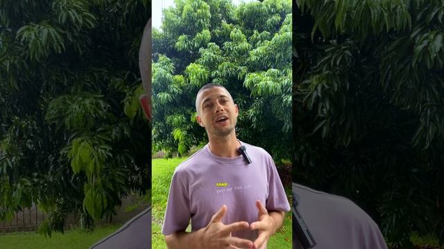 Мой нестандартный коучинг смотреть онлайн