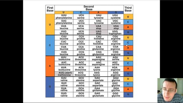 Biology Review: The Genetic Code смотреть онлайн