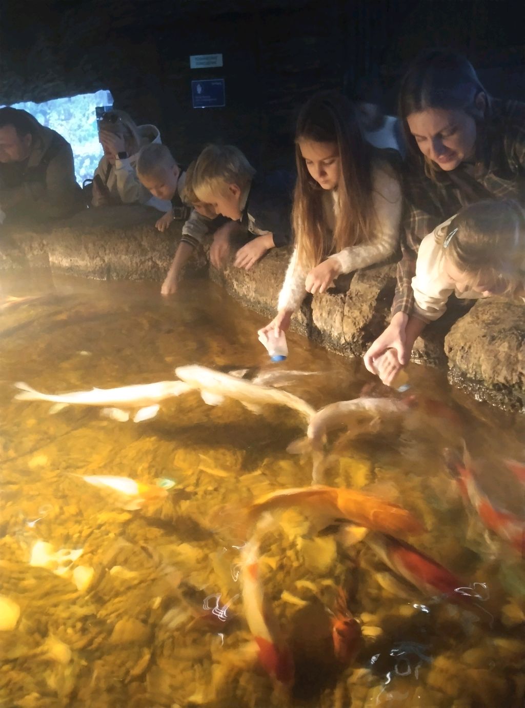 игра в Brawl Stars