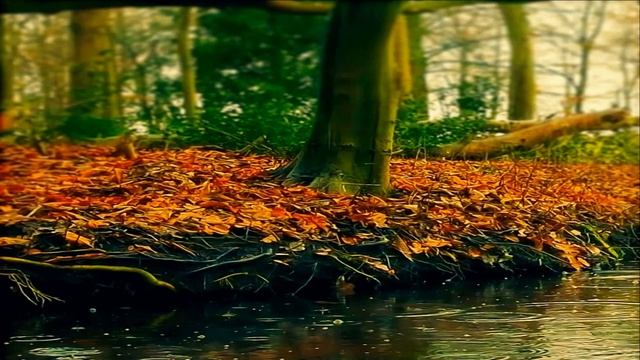 Alex Malex - Have You Ever Seen The Rain (кавер ру) смотреть онлайн