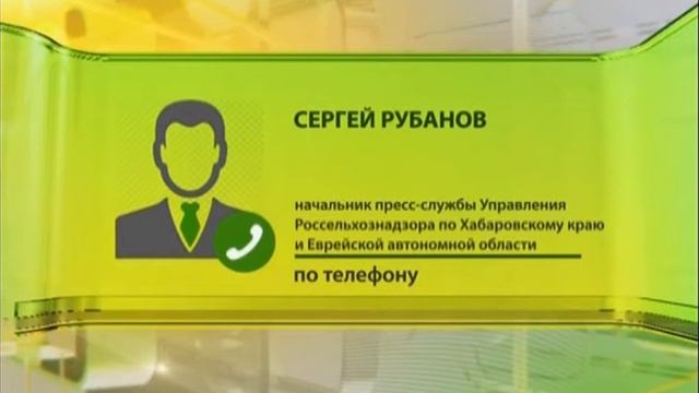 Как ситуация со сбитым Турцией Су-24 отразится на хабаровчанах? смотреть онлайн