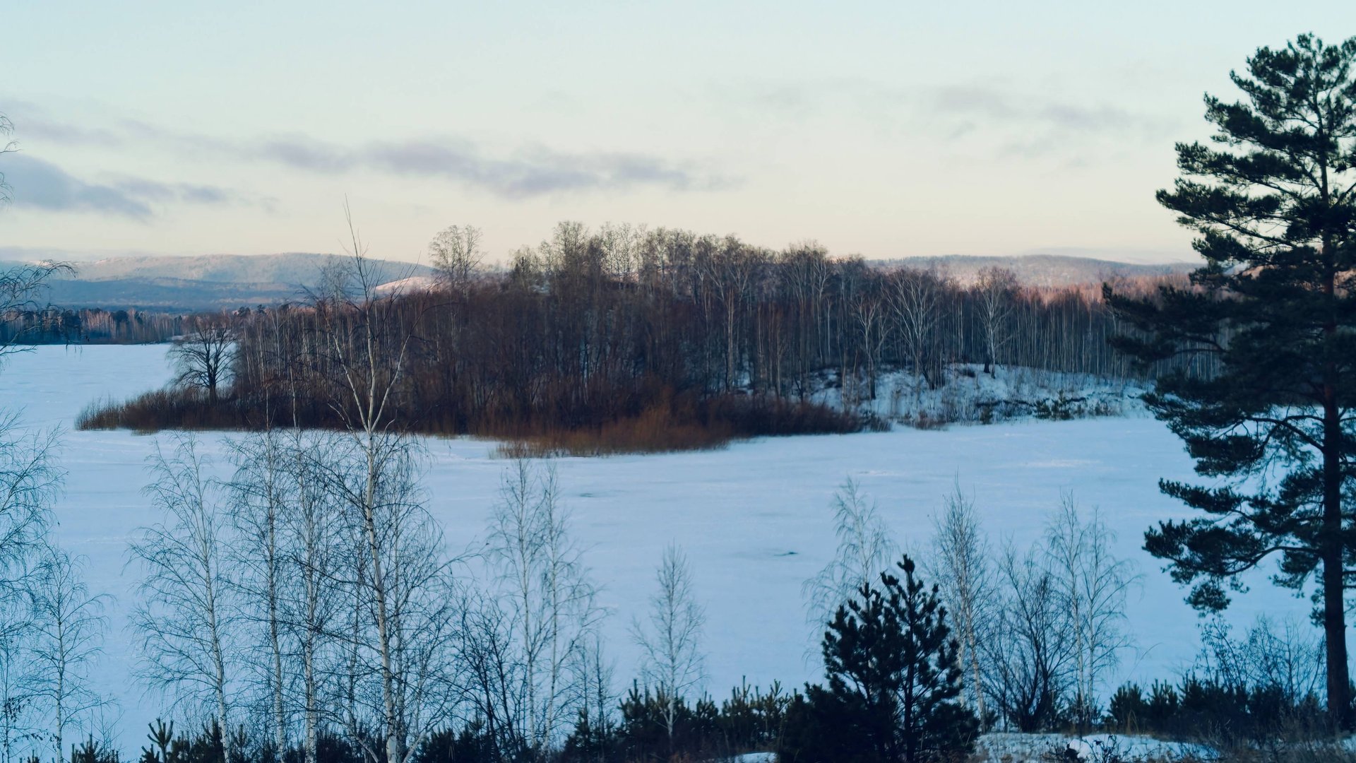 Аргази. Предновогодняя рыбалка 29-30.12.24. смотреть онлайн