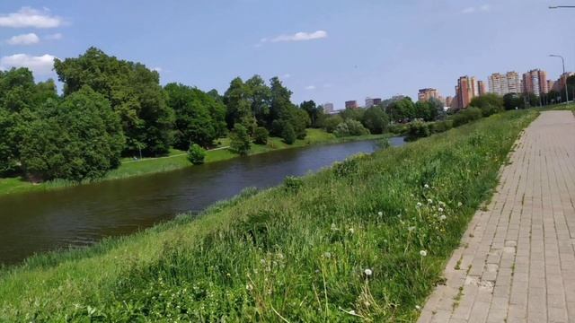 Природа Обнинска . Фото : Никиты Миночкина смотреть онлайн