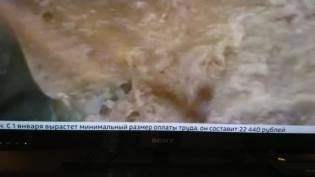 MOV_0312.mp4 смотреть онлайн