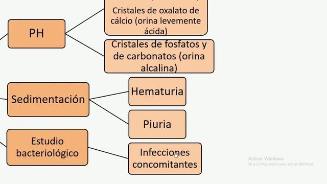 litiasis renal смотреть онлайн