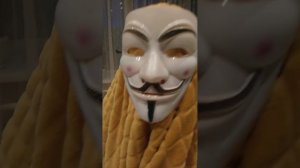 мой домашний снюсоед