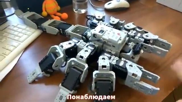 Robotis Bioloid Скорпион Хабаровский педколледж 360p смотреть онлайн