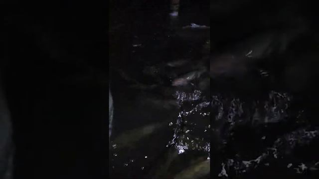 Узв смотреть онлайн