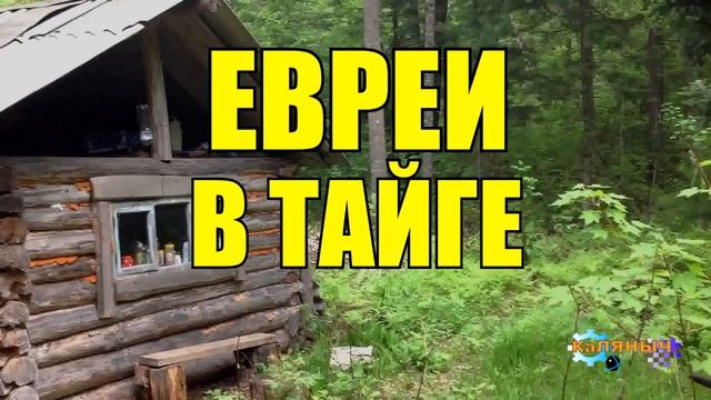 0933 - ЕВРЕИ _ ЖИЗНЬ В ТАЙГЕ смотреть онлайн