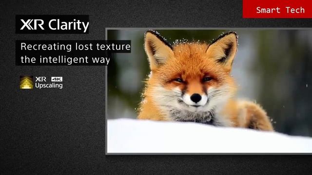 BEST SONY TV _ Top 4 Best Sony TVs In 2021 смотреть онлайн