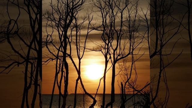 Neon смотреть онлайн