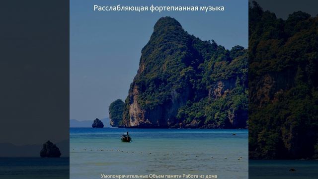 Приглушенный Атмосфера смотреть онлайн