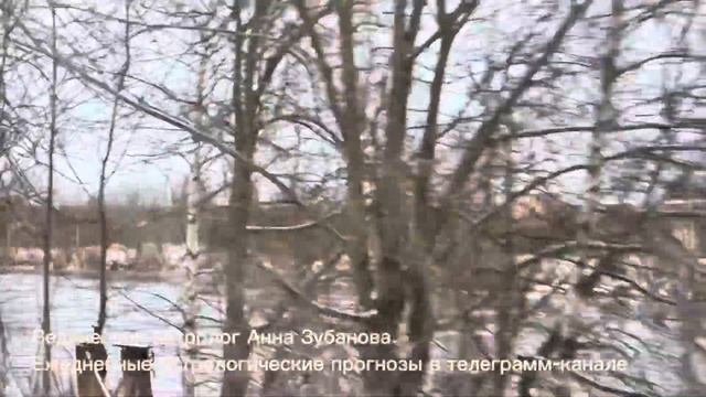 Астрологический прогноз для всех знаков зодиака на неделю с 15 по 21 января #январь #прогноз смотреть онлайн