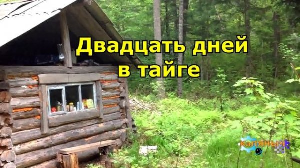 1196 - Двадцать дней в тайге