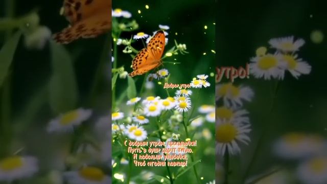 С добрым утром, просыпайся... смотреть онлайн