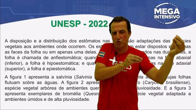 Live 09 - REVISÃO 2ª FASE UNESP - BIOLOGIA смотреть онлайн
