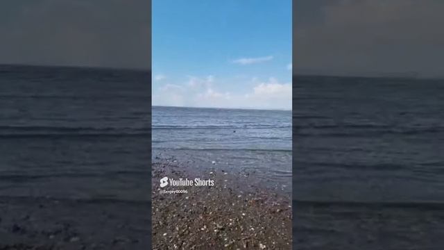 31 марта 2024 г. (1).mp4